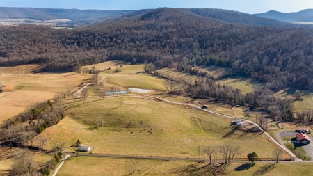 Absolute Auction-Online Only-Farm 2-Acreage in Albany, KY - image 8