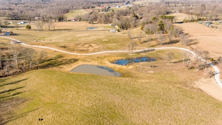 Absolute Auction-Online Only-Farm 2-Acreage in Albany, KY - image 19