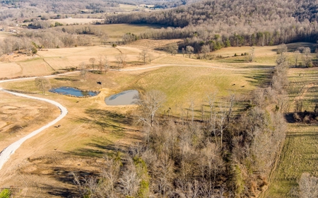 Absolute Auction-Online Only-Farm 2-Acreage in Albany, KY - image 20