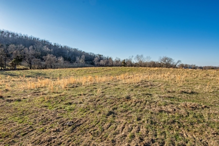 Absolute Auction-Online Only-Farm 2-Acreage in Albany, KY - image 3