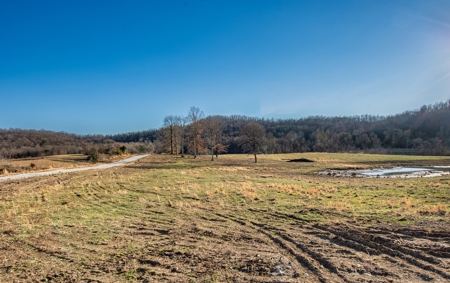 Absolute Auction-Online Only-Farm 2-Acreage in Albany, KY - image 2