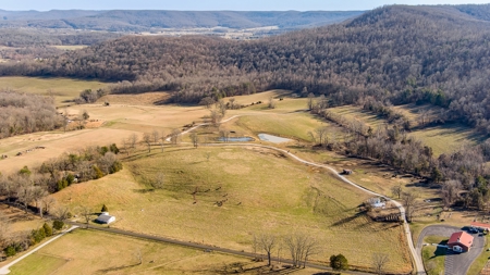 Absolute Auction-Online Only-Farm 2-Acreage in Albany, KY - image 6