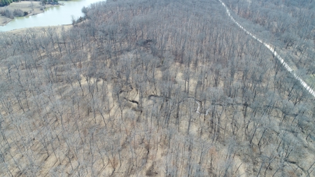 Beautiful Country Cabin Home - image 39