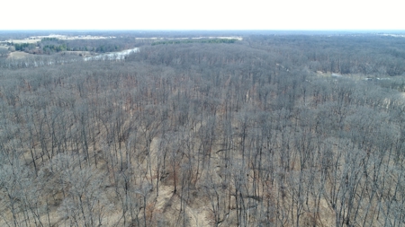 Beautiful Country Cabin Home - image 36