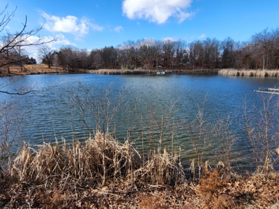 Beautiful Country Cabin Home - image 23