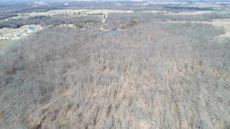 Beautiful Country Cabin Home - image 41