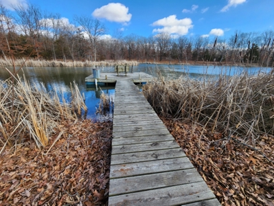 Beautiful Country Cabin Home - image 44
