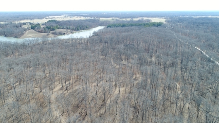 Beautiful Country Cabin Home - image 38