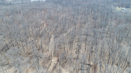 Beautiful Country Cabin Home - image 37