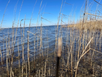 Waterfront Homesite for Sale in Beaufort NC - image 29