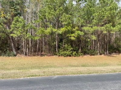 Waterfront Homesite for Sale in Beaufort NC - image 36