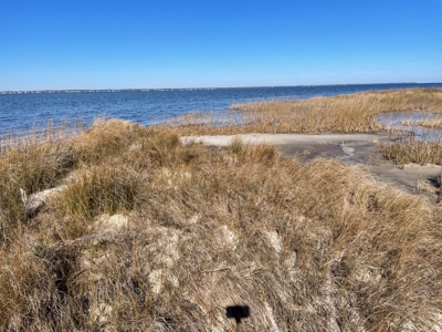 Waterfront Homesite for Sale in Beaufort NC - image 21
