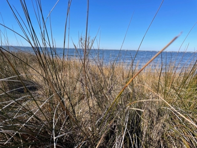 Waterfront Homesite for Sale in Beaufort NC - image 24