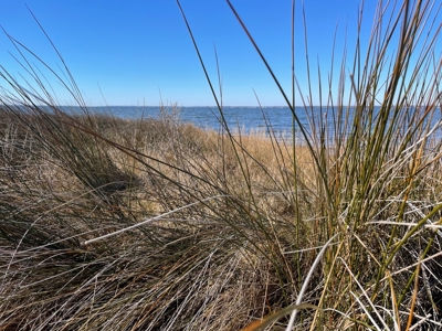 Waterfront Homesite for Sale in Beaufort NC - image 23