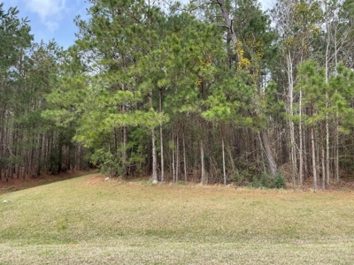 Waterfront Homesite for Sale in Beaufort NC - image 33