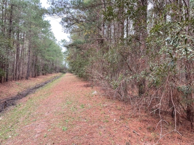 Waterfront Homesite for Sale in Beaufort NC - image 35