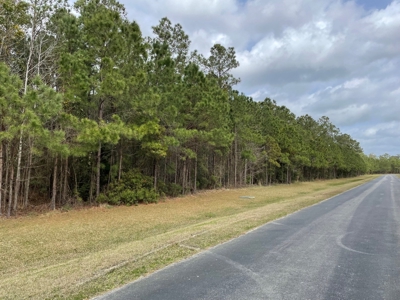 Waterfront Homesite for Sale in Beaufort NC - image 34