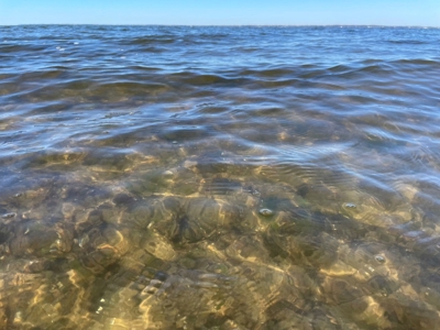 Waterfront Homesite for Sale in Beaufort NC - image 28