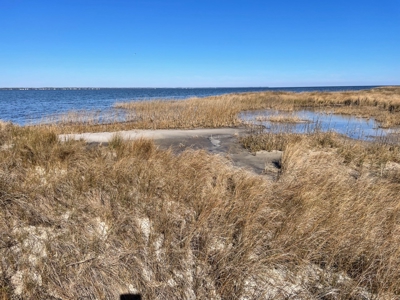 Waterfront Homesite for Sale in Beaufort NC - image 22
