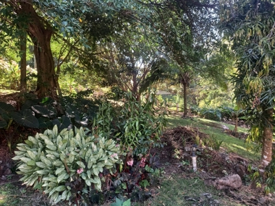 Mountain community home in Altos del maria, w/ beach access! - image 13