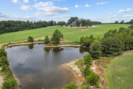 Ranch For Sale Near Tyler, Tx In Henderson Co - image 24