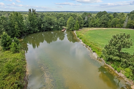 Ranch For Sale Near Tyler, Tx In Henderson Co - image 22