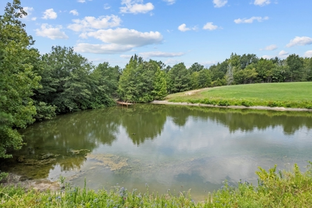 Ranch For Sale Near Tyler, Tx In Henderson Co - image 23