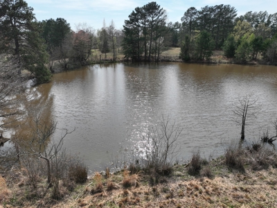 East Texas Land with Beautiful Pond - image 14