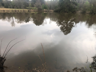 East Texas Land with Beautiful Pond - image 18