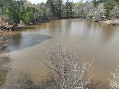 East Texas Land with Beautiful Pond - image 13