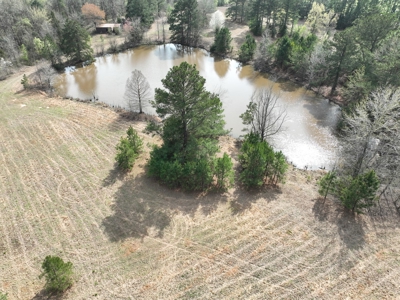 East Texas Land with Beautiful Pond - image 9