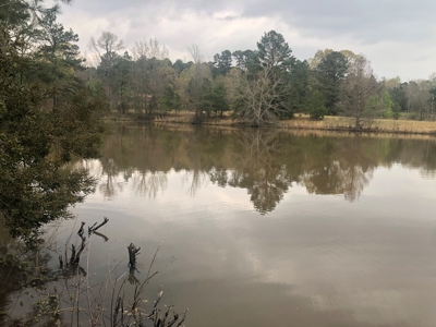 East Texas Land with Beautiful Pond - image 19