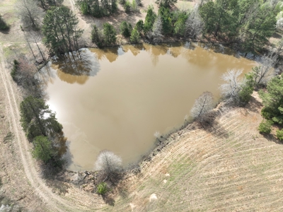 East Texas Land with Beautiful Pond - image 4