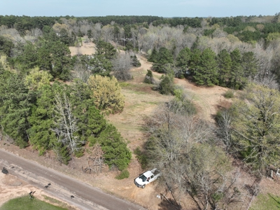East Texas Land with Beautiful Pond - image 1