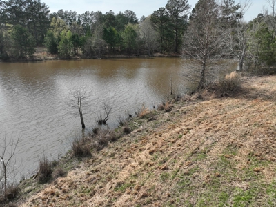 East Texas Land with Beautiful Pond - image 11
