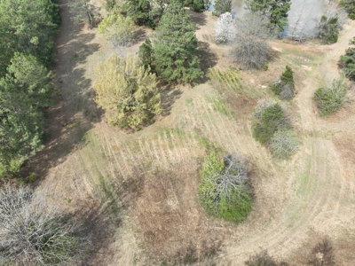 East Texas Land with Beautiful Pond - image 10