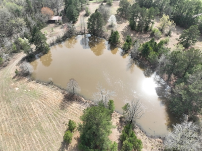East Texas Land with Beautiful Pond - image 5