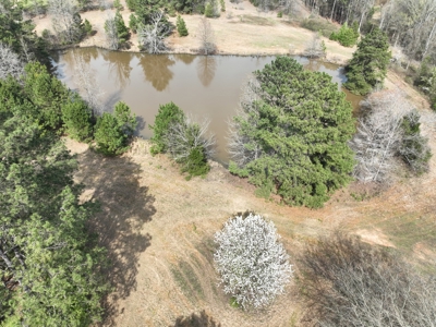 East Texas Land with Beautiful Pond - image 2