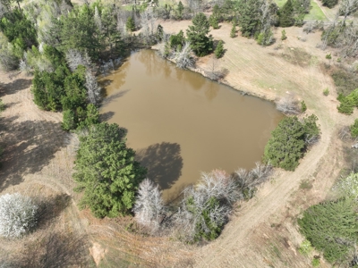 East Texas Land with Beautiful Pond - image 3