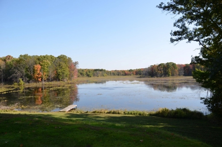 October Farms, a magical place situated on nearly 80 acres - image 7