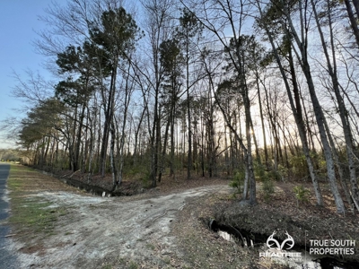 Fire Hill Ruffin Hunting & Timber Land - image 48