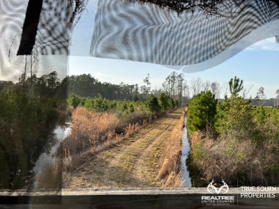 Fire Hill Ruffin Hunting & Timber Land - image 42