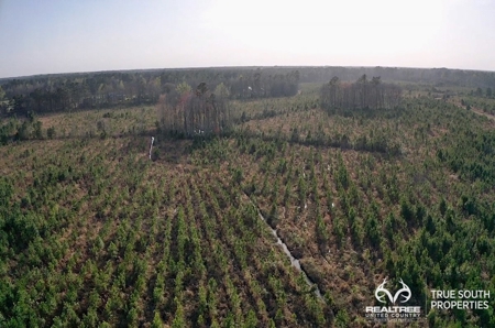 Fire Hill Ruffin Hunting & Timber Land - image 38