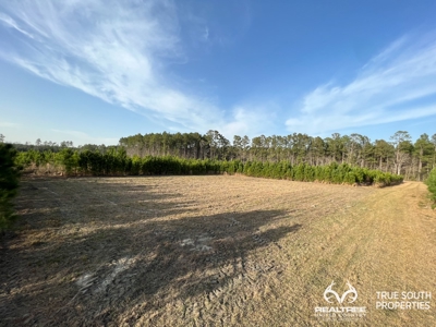 Fire Hill Ruffin Hunting & Timber Land - image 43