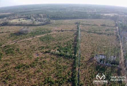 Fire Hill Ruffin Hunting & Timber Land - image 25