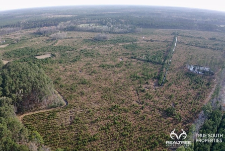 Fire Hill Ruffin Hunting & Timber Land - image 15