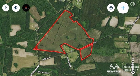 Fire Hill Ruffin Hunting & Timber Land - image 5