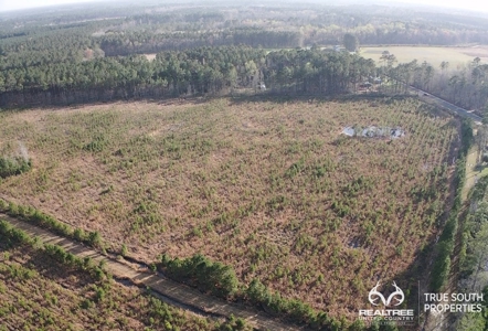 Fire Hill Ruffin Hunting & Timber Land - image 29