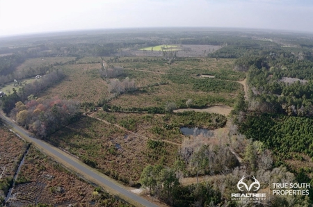 Fire Hill Ruffin Hunting & Timber Land - image 1