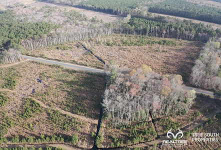 Fire Hill Ruffin Hunting & Timber Land - image 11